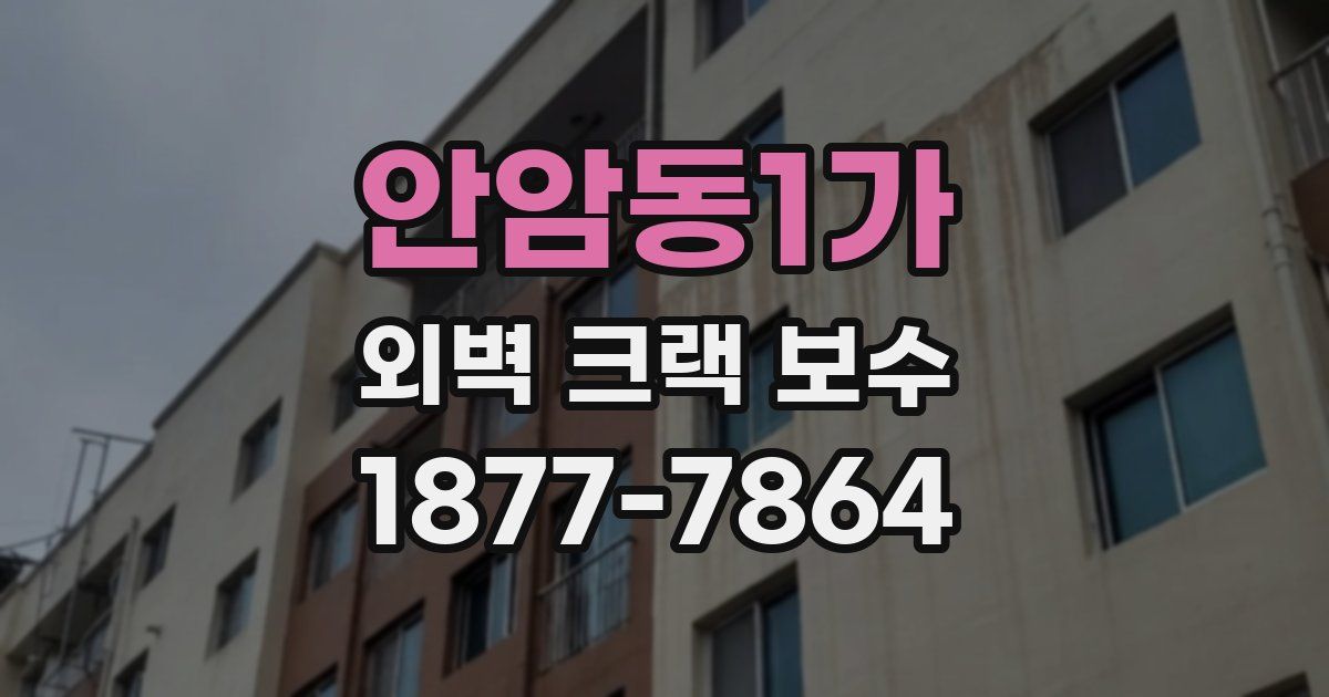안암동1가 외벽 크랙 보수