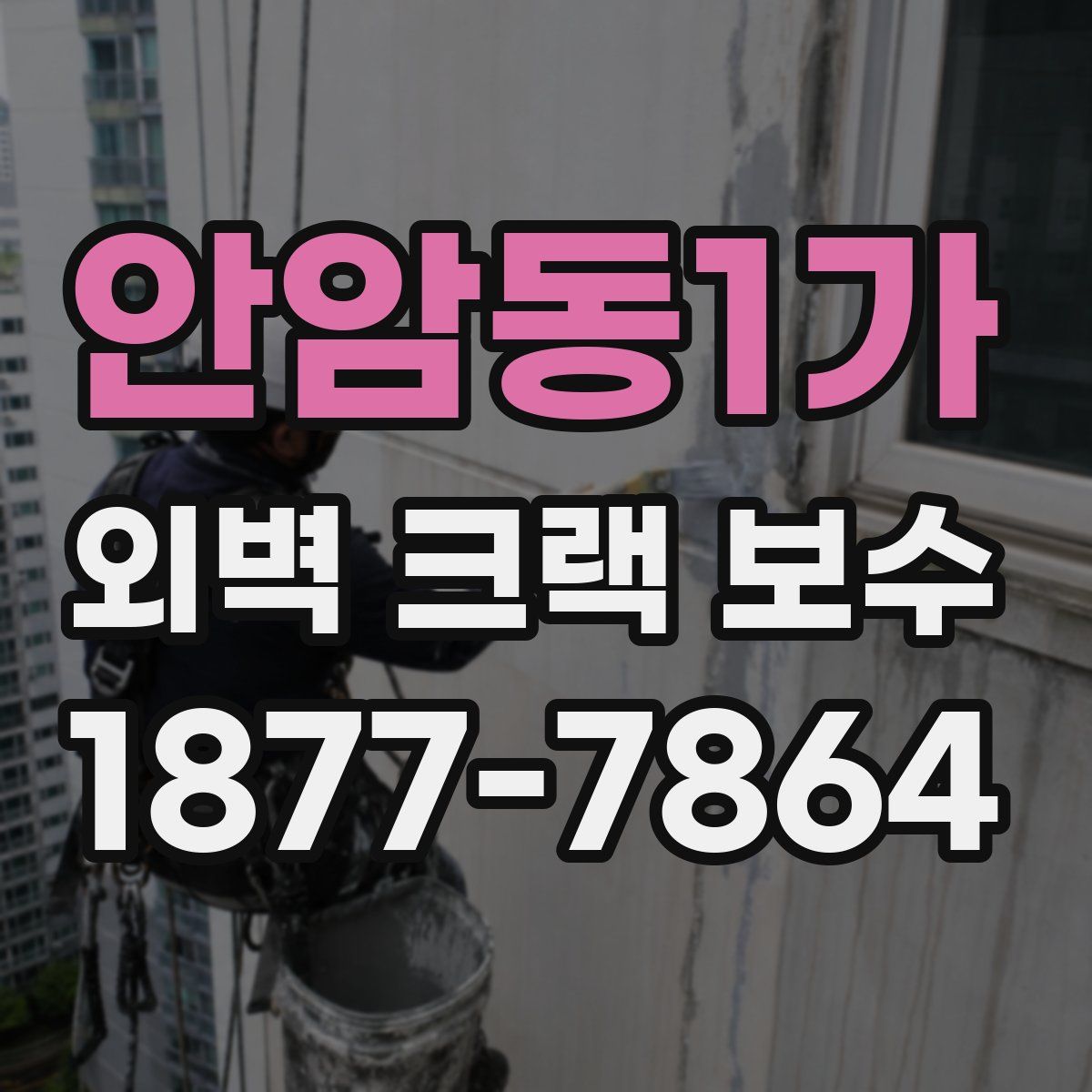 안암동1가 외벽 크랙 보수