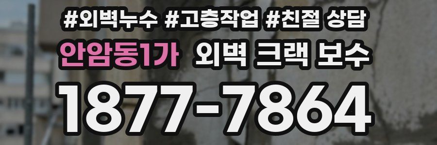 안암동1가 외벽 크랙 보수