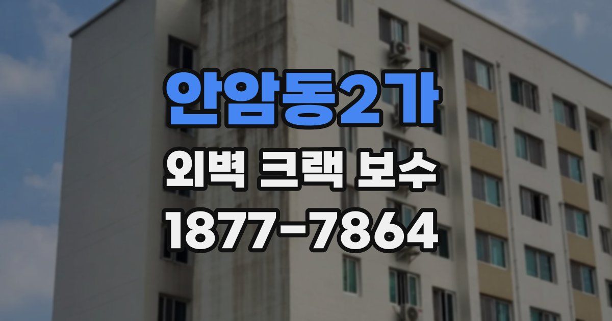 안암동2가 외벽 크랙 보수