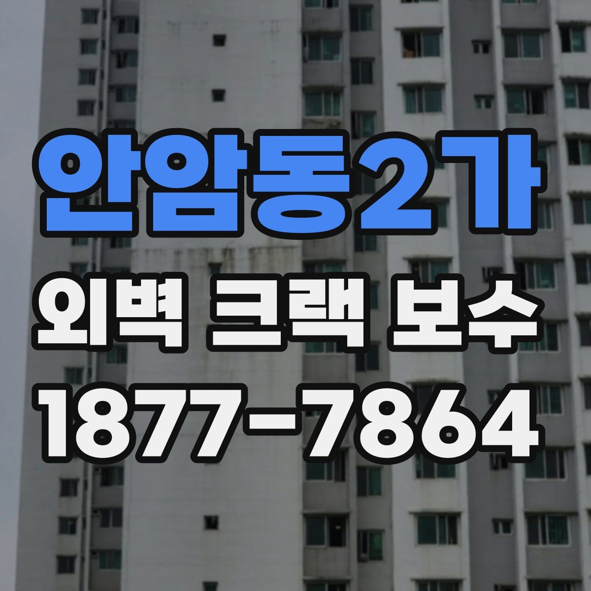안암동2가 외벽 크랙 보수