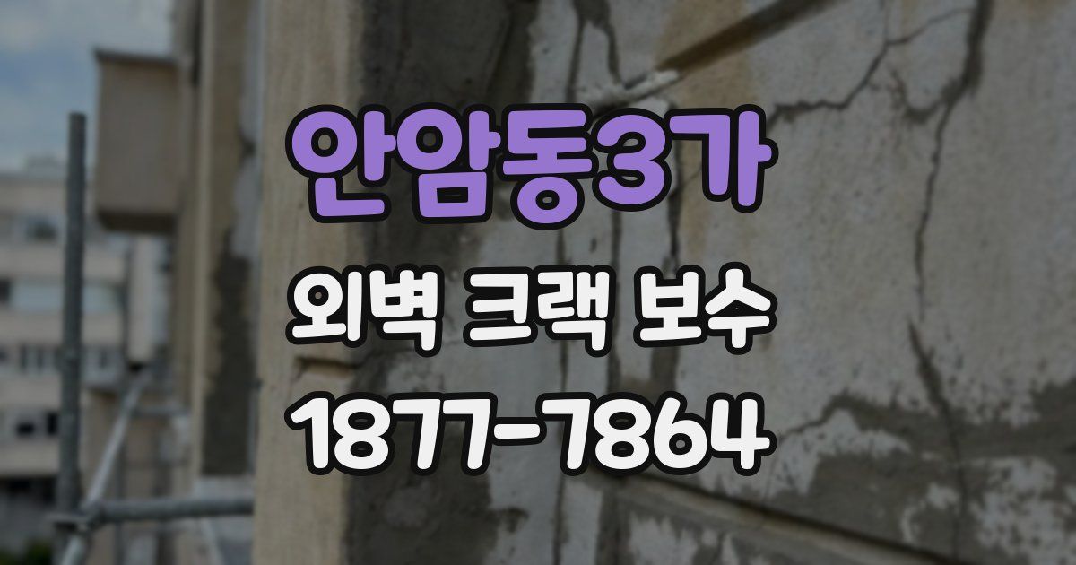 안암동3가 외벽 크랙 보수
