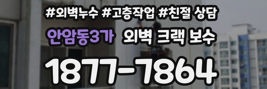 안암동3가 외벽 크랙 보수