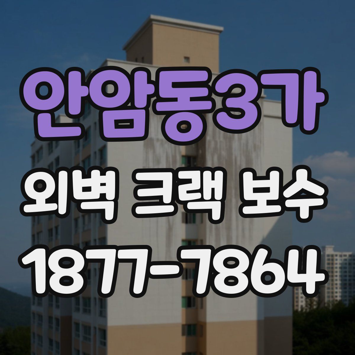 안암동3가 외벽 크랙 보수