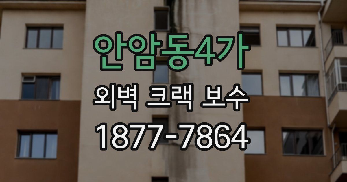 안암동4가 외벽 크랙 보수