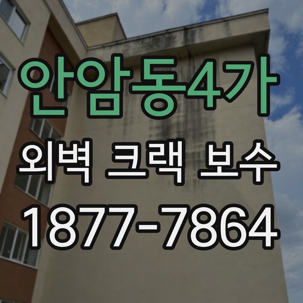 안암동4가 외벽 크랙 보수