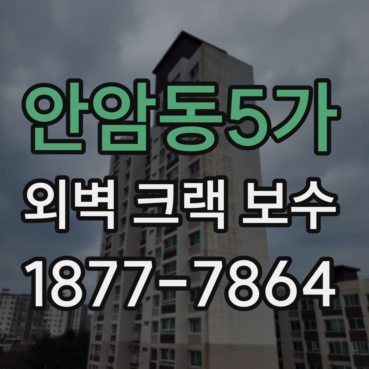 안암동5가 외벽 크랙 보수