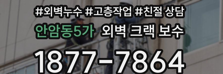 안암동5가 외벽 크랙 보수