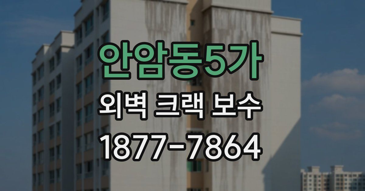 안암동5가 외벽 크랙 보수