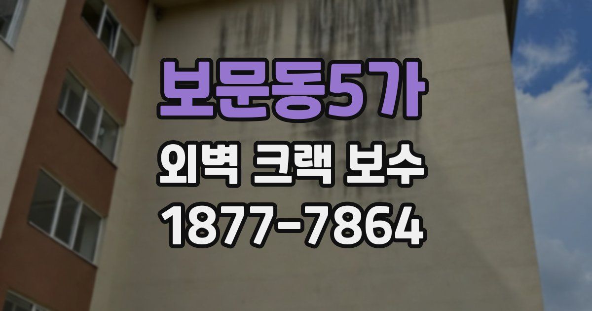 보문동5가 외벽 크랙 보수