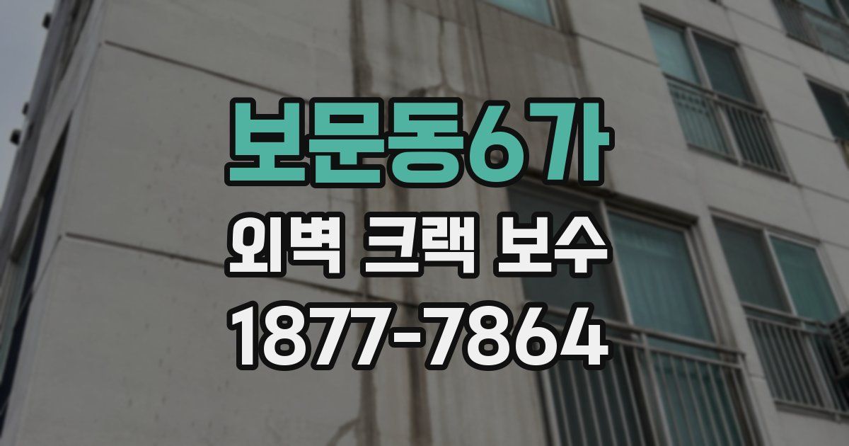 보문동6가 외벽 크랙 보수