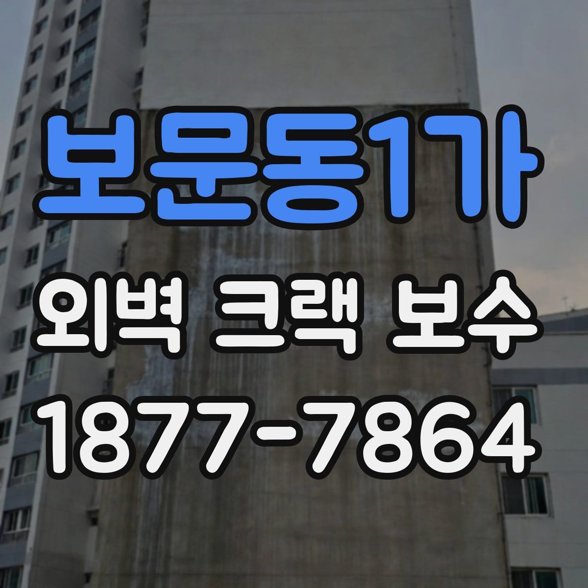 보문동1가 외벽 크랙 보수