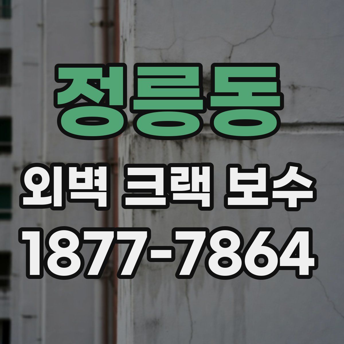 정릉동 외벽 크랙 보수
