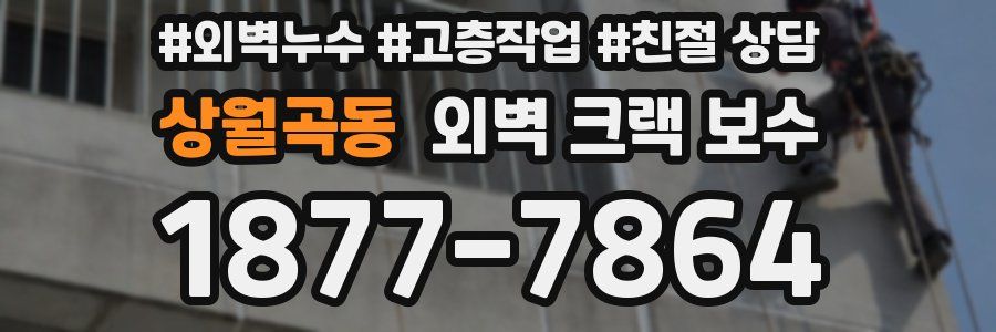 상월곡동 외벽 크랙 보수