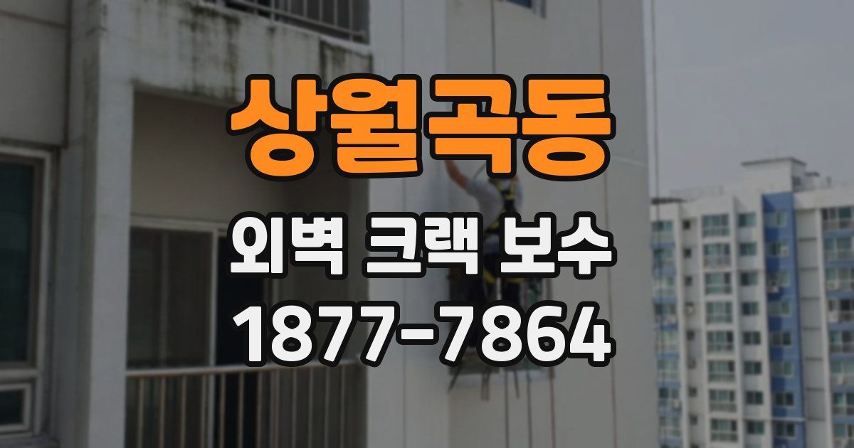 상월곡동 외벽 크랙 보수