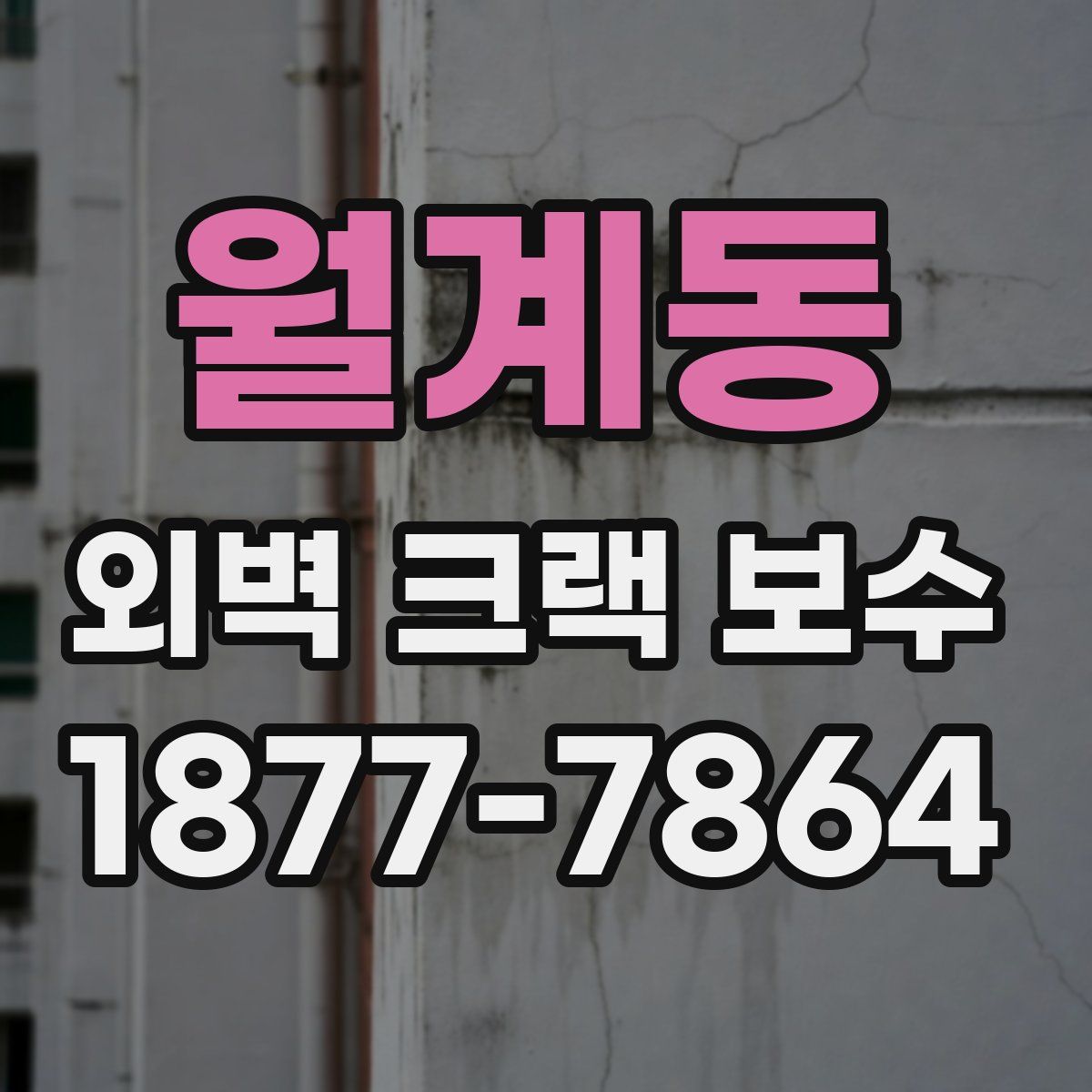 월계동 외벽 크랙 보수