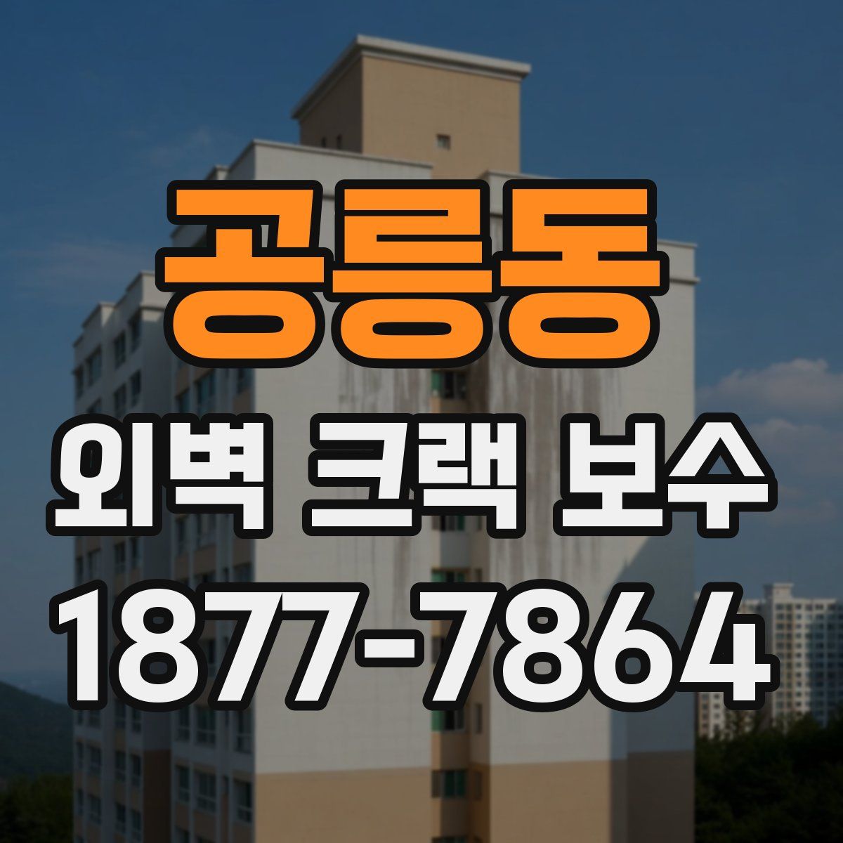 공릉동 외벽 크랙 보수