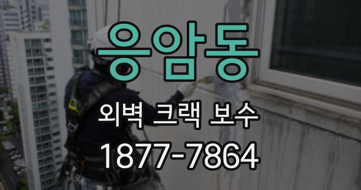 응암동 외벽 크랙 보수