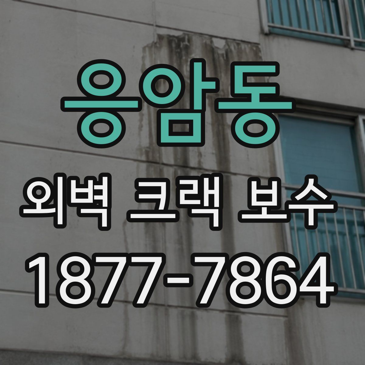 응암동 외벽 크랙 보수