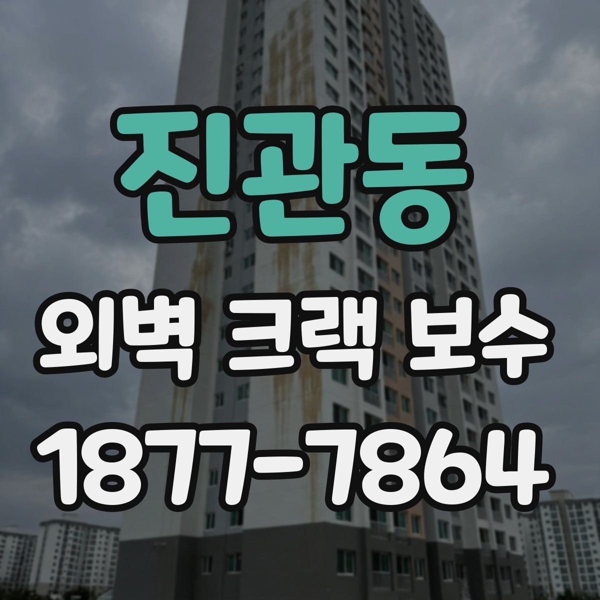 진관동 외벽 크랙 보수