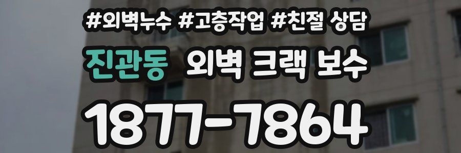 진관동 외벽 크랙 보수