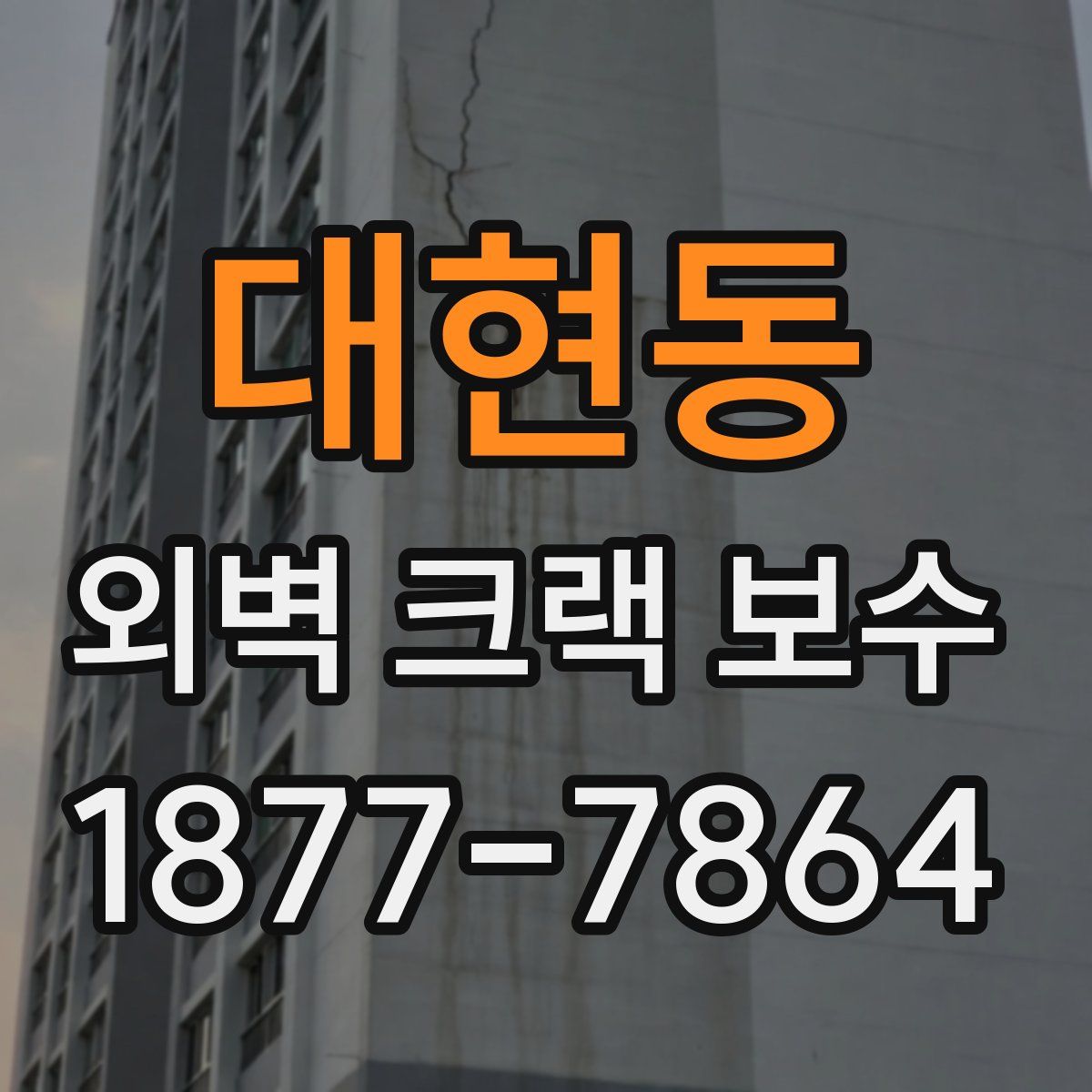 대현동 외벽 크랙 보수