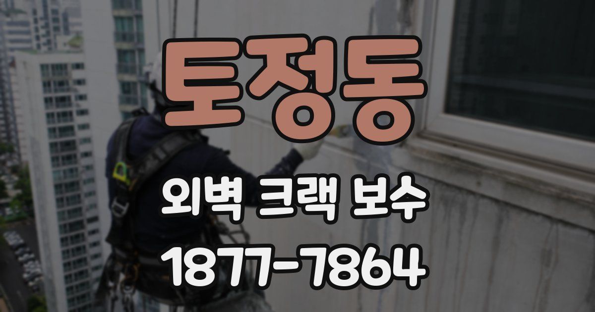 토정동 외벽 크랙 보수