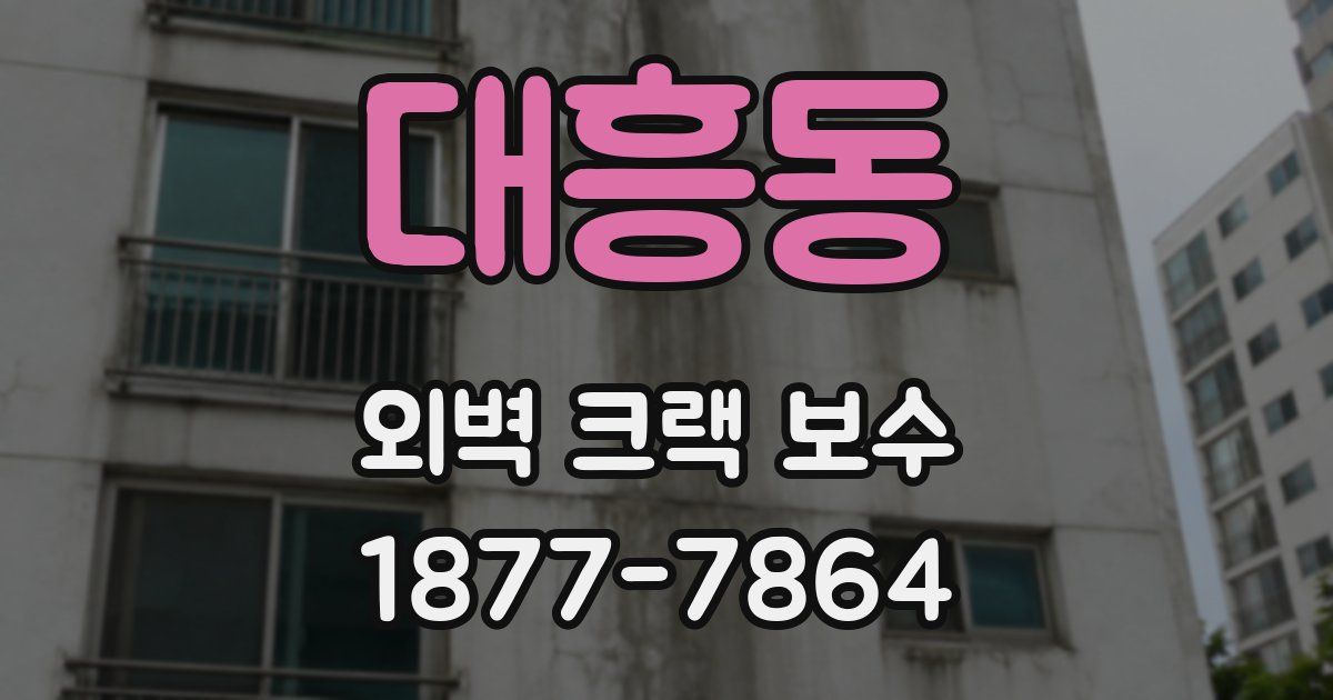 대흥동 외벽 크랙 보수