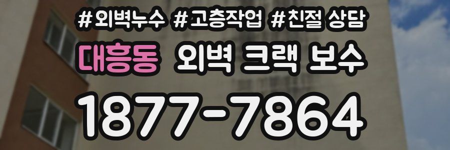 대흥동 외벽 크랙 보수