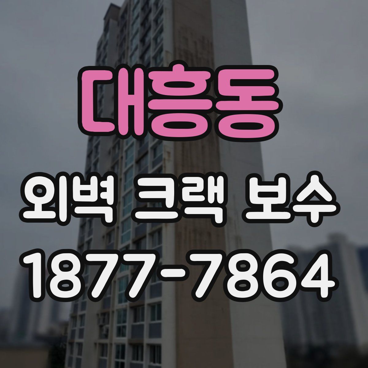 대흥동 외벽 크랙 보수