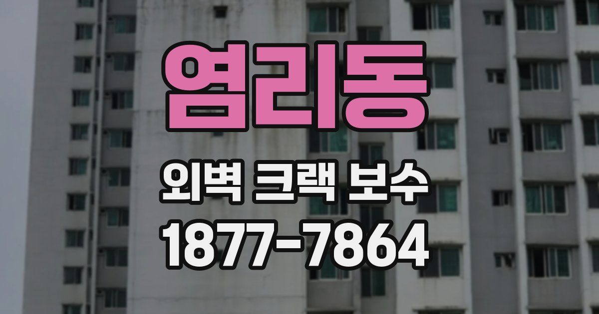 염리동 외벽 크랙 보수