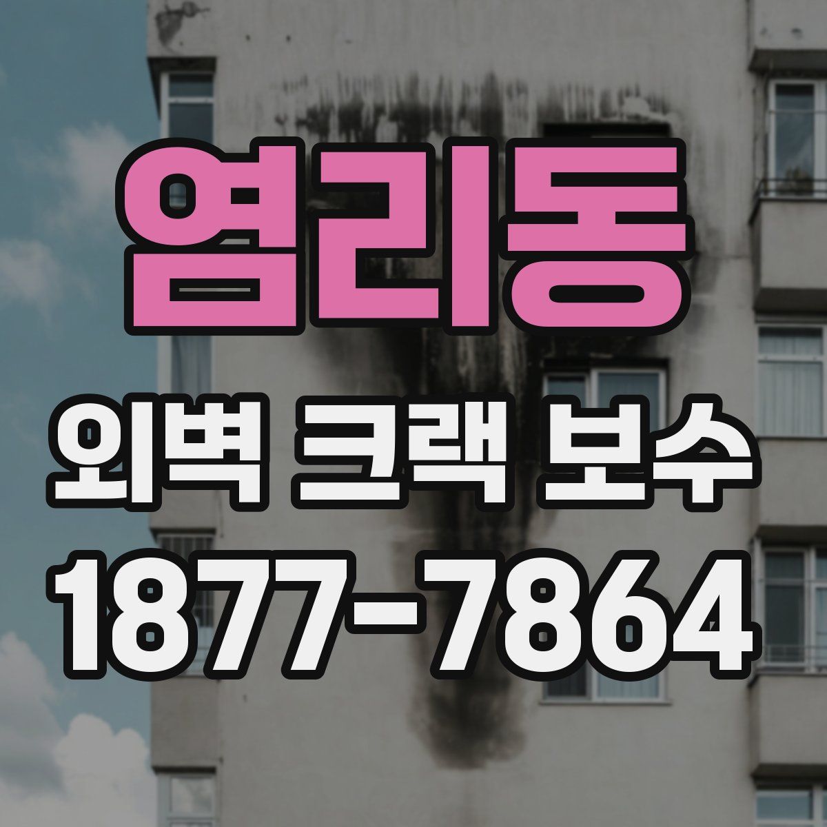 염리동 외벽 크랙 보수