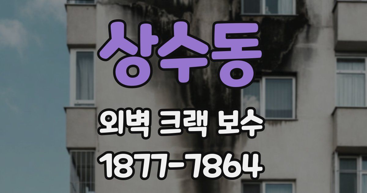 상수동 외벽 크랙 보수