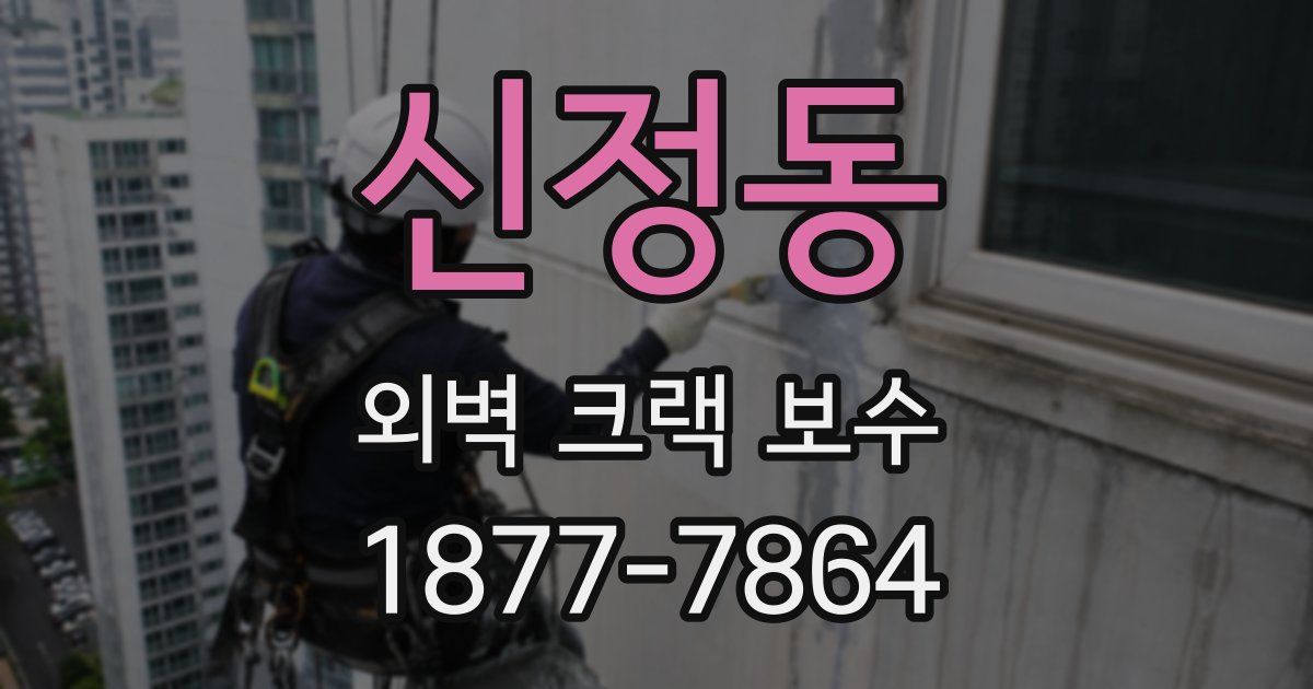 신정동 외벽 크랙 보수