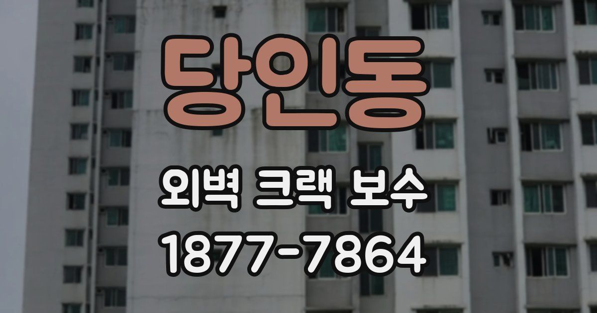 당인동 외벽 크랙 보수