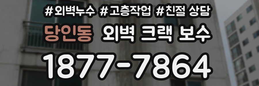 당인동 외벽 크랙 보수