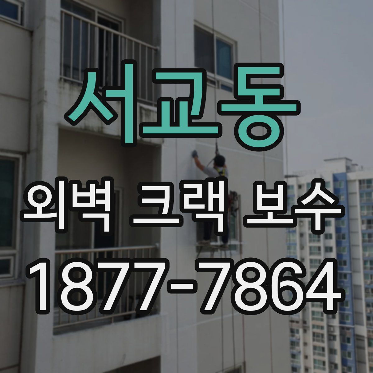 서교동 외벽 크랙 보수