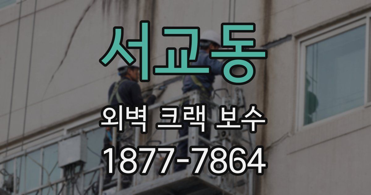 서교동 외벽 크랙 보수