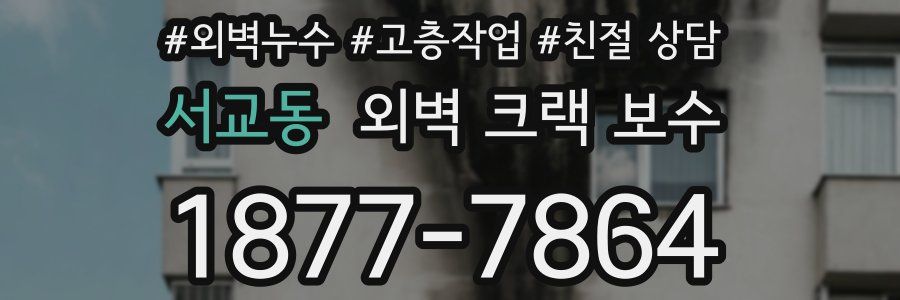 서교동 외벽 크랙 보수