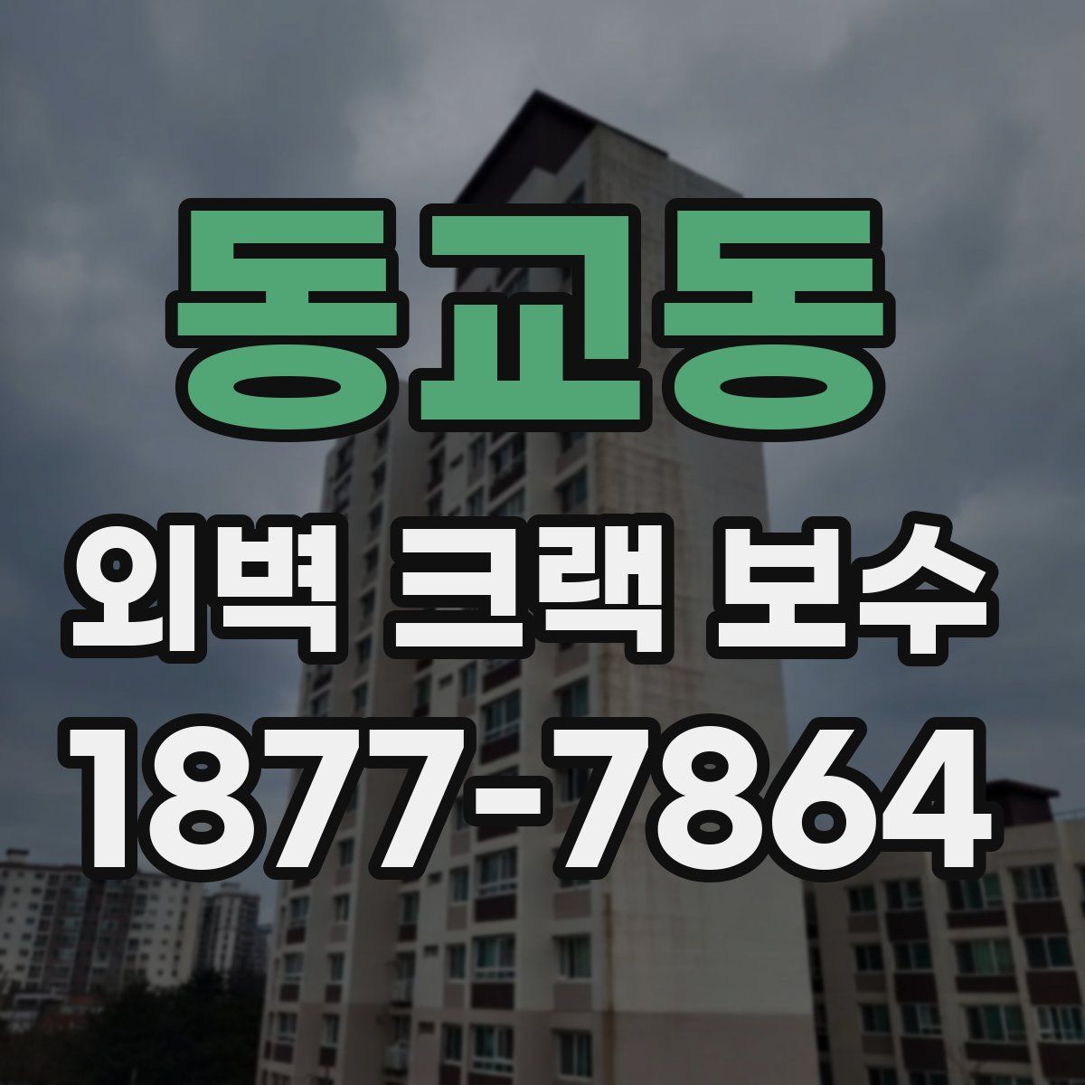 동교동 외벽 크랙 보수
