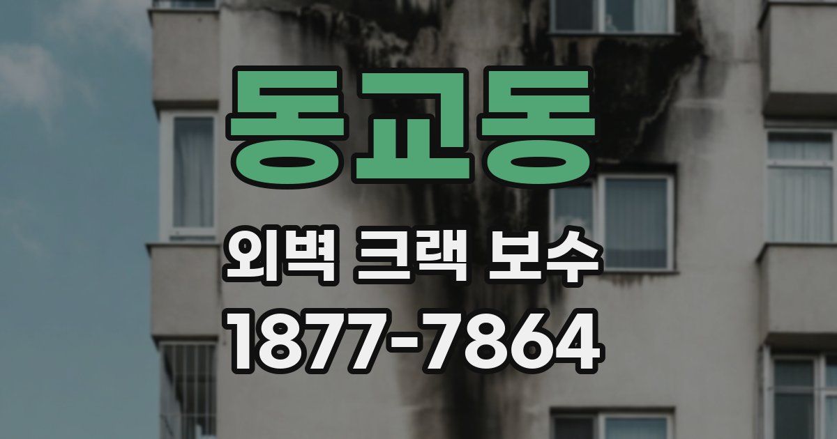 동교동 외벽 크랙 보수