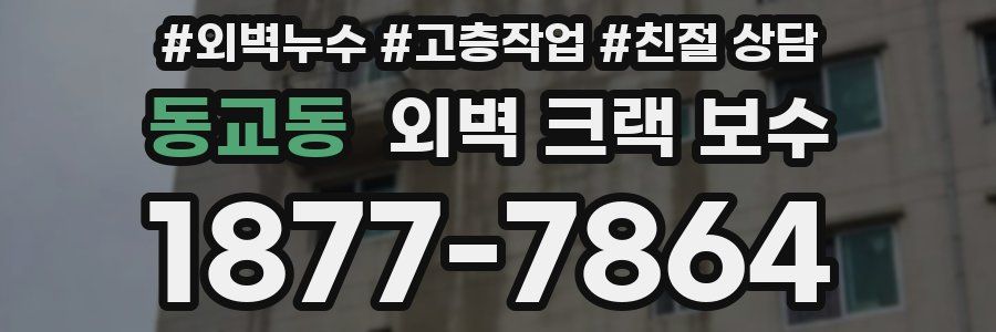 동교동 외벽 크랙 보수