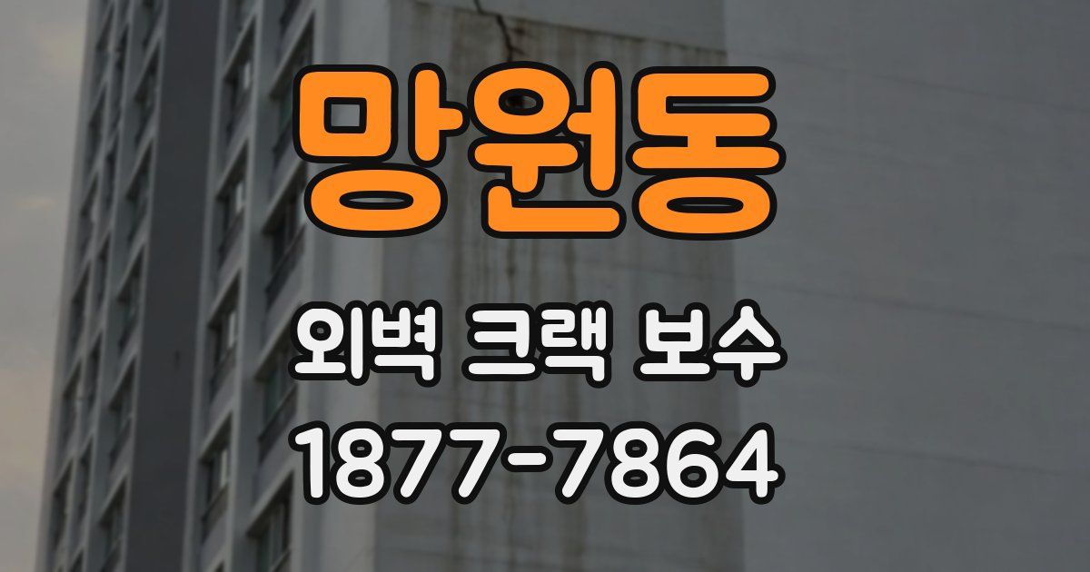 망원동 외벽 크랙 보수