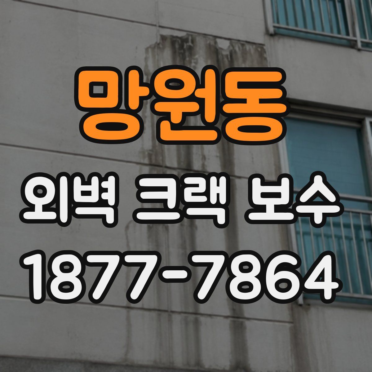 망원동 외벽 크랙 보수