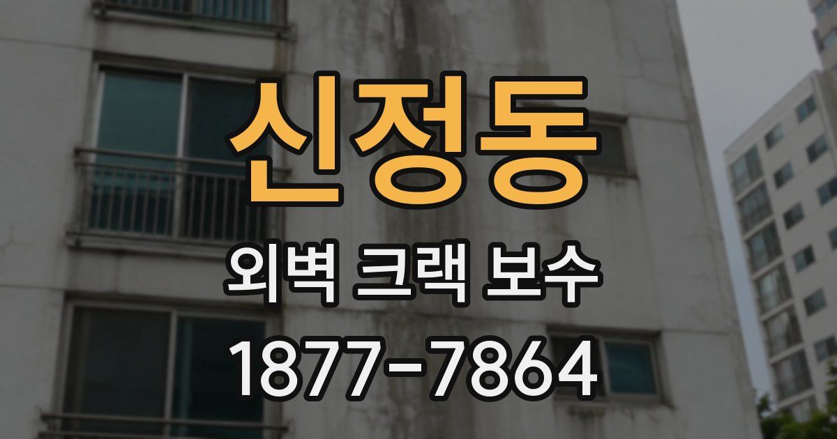 신정동 외벽 크랙 보수