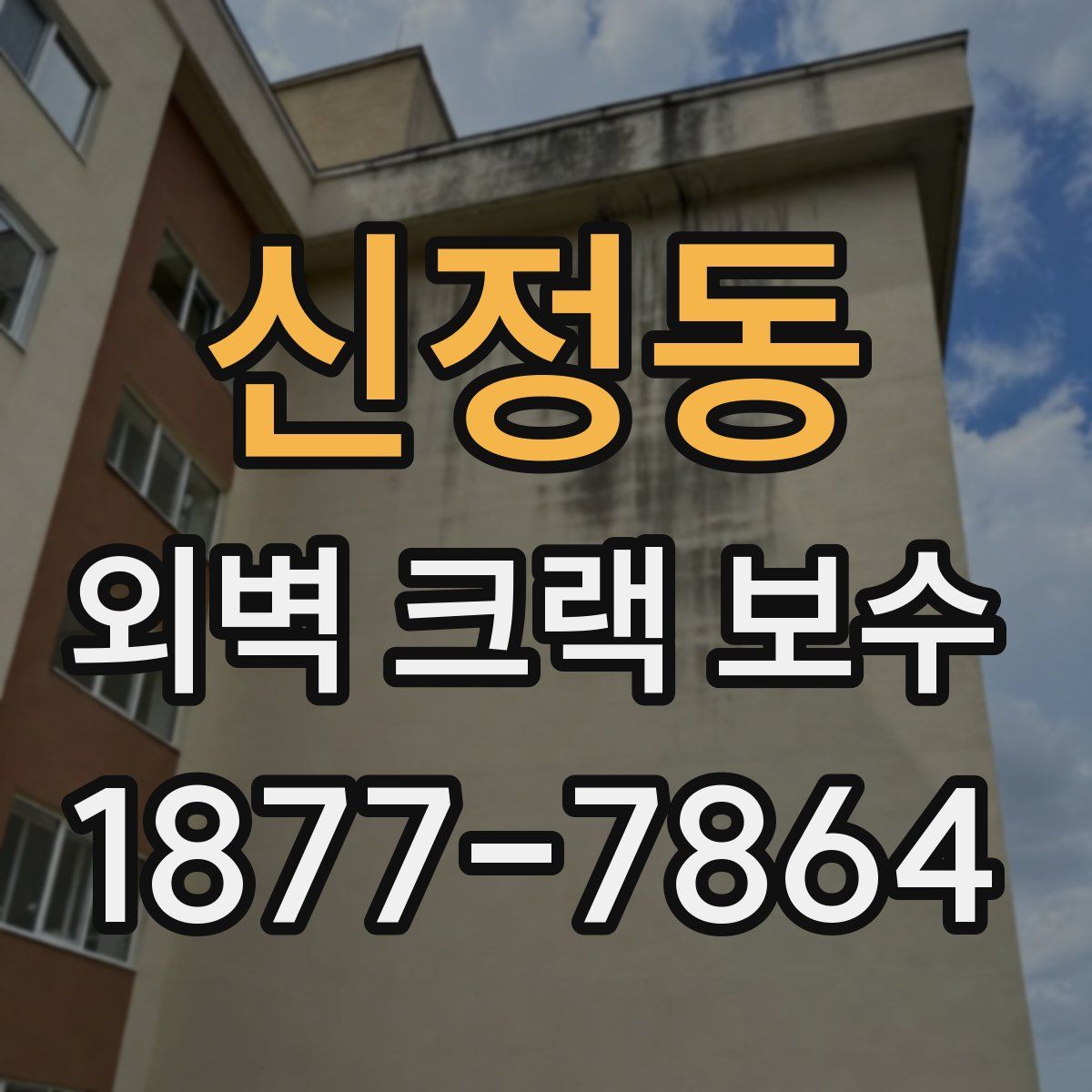신정동 외벽 크랙 보수