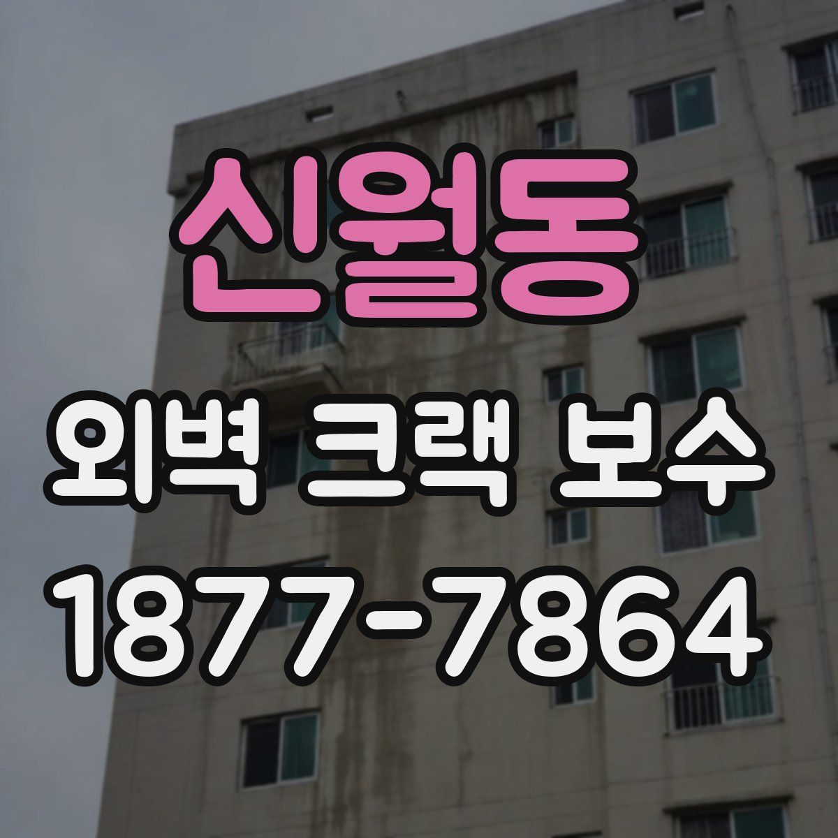 신월동 외벽 크랙 보수