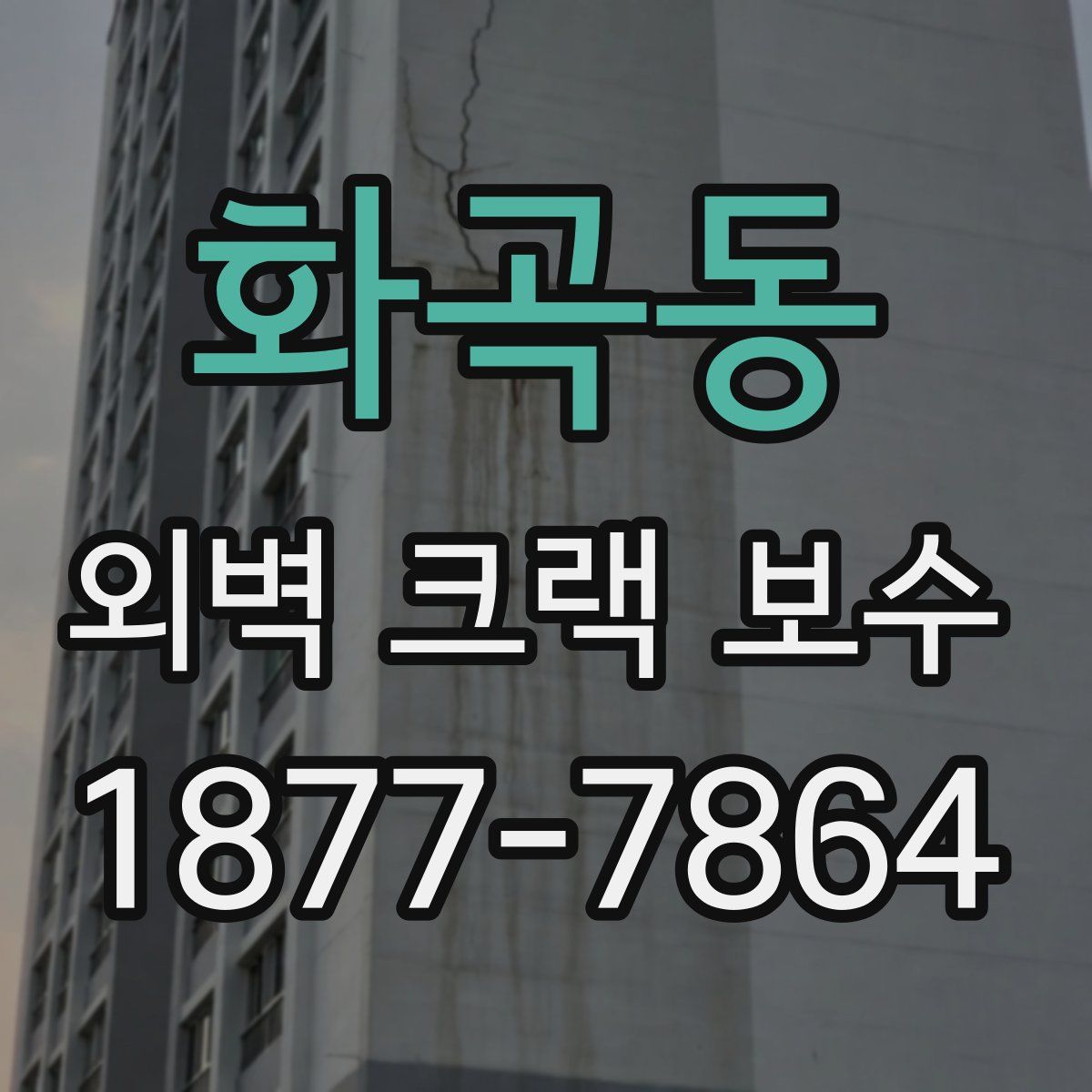 화곡동 외벽 크랙 보수