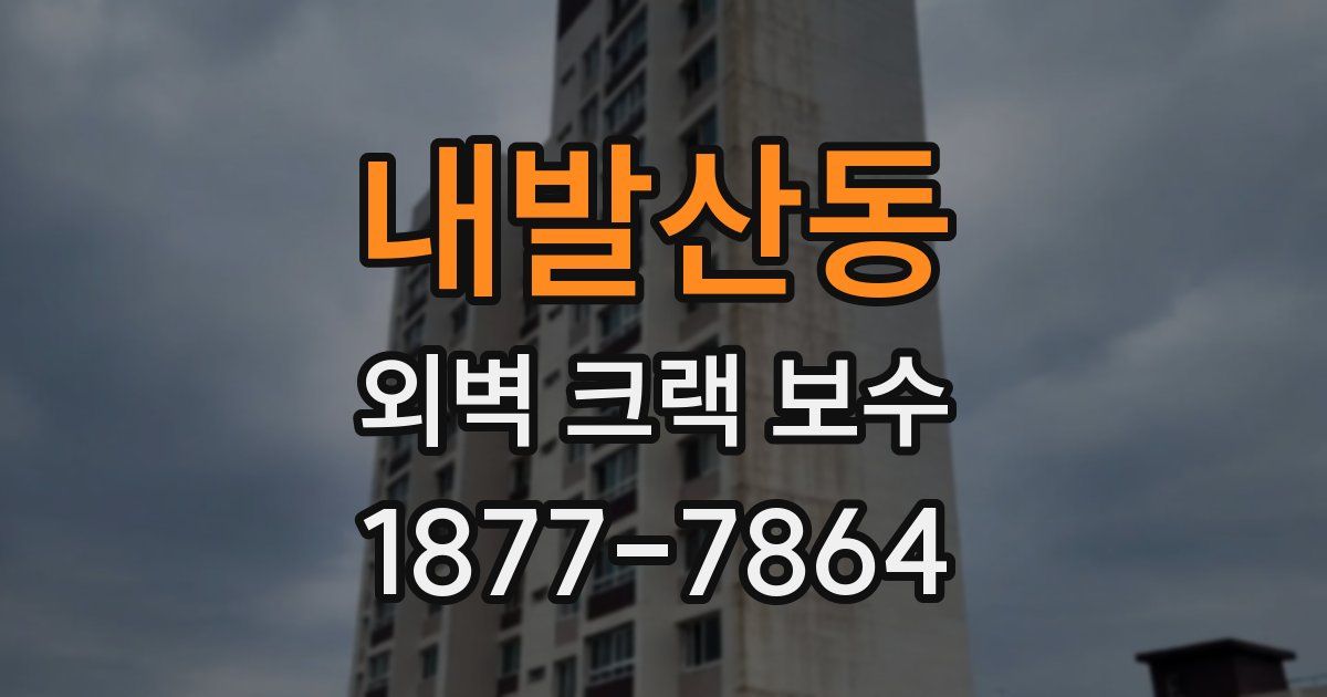 내발산동 외벽 크랙 보수