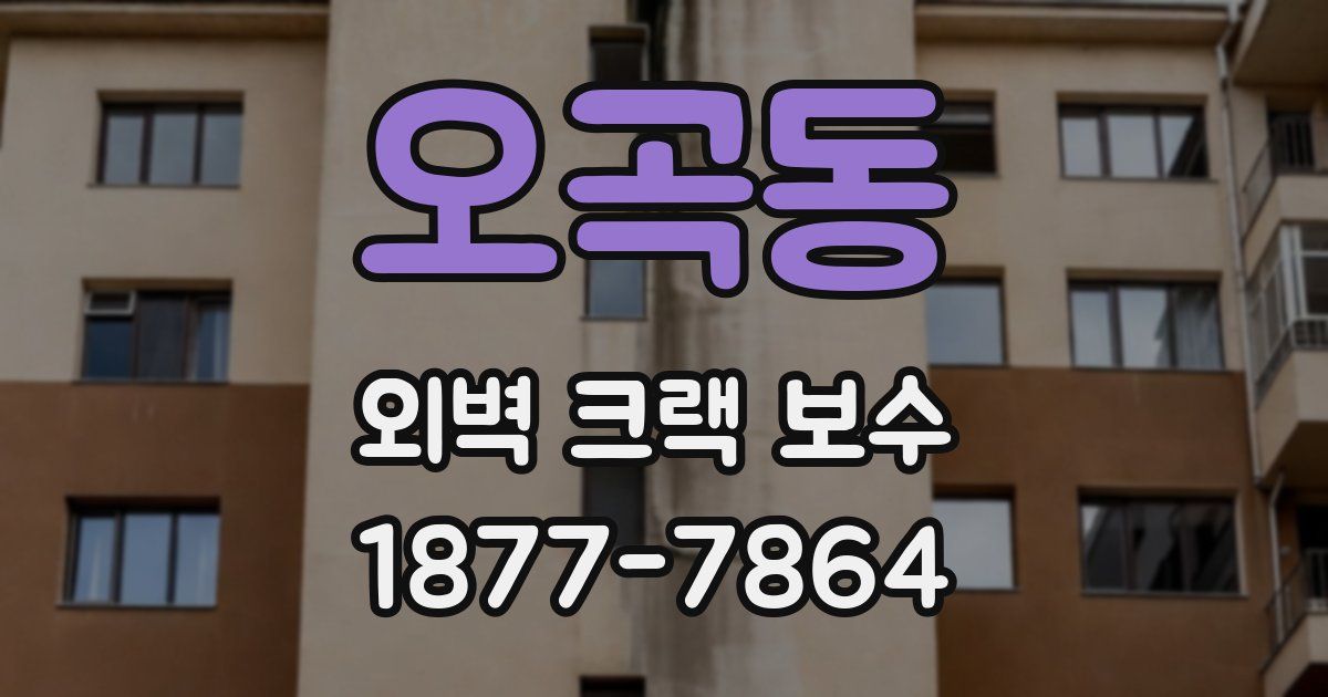 오곡동 외벽 크랙 보수